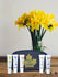 5 Daily Skincare Products (20gm each) with Free Black Travel Pouch